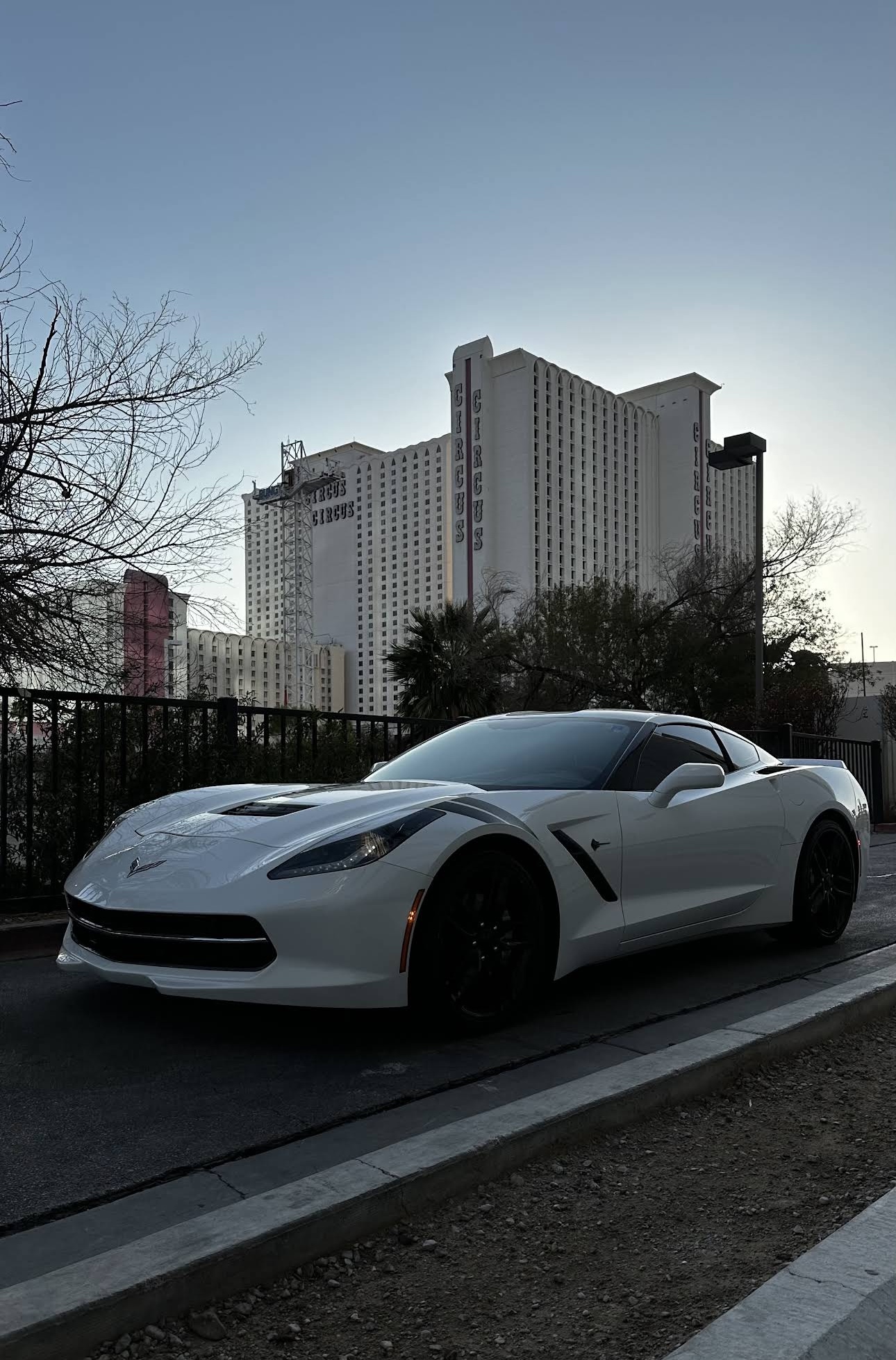 White Corvette Stingray detailed by Milkyway Detailz Las Vegas