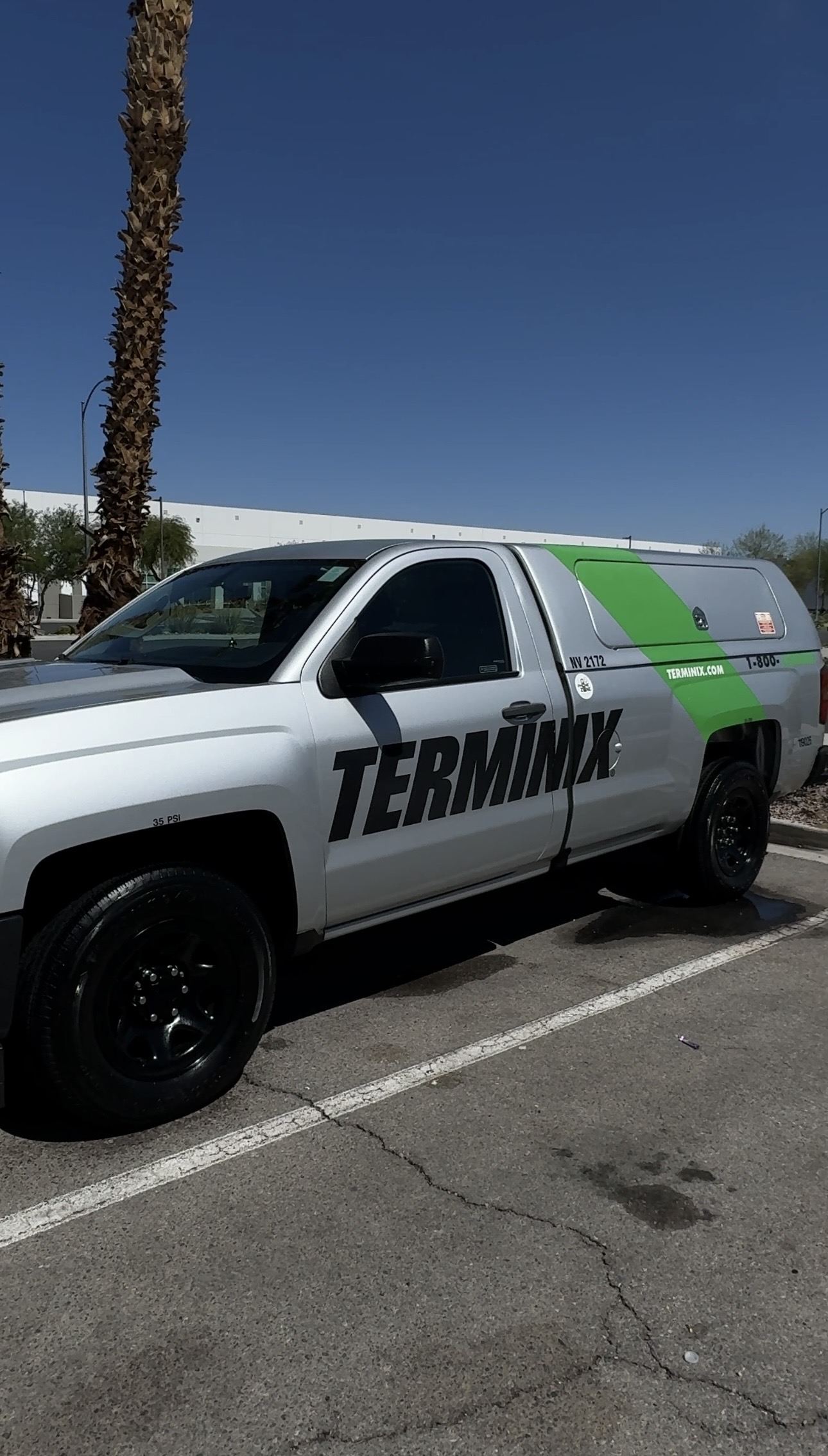 Rentokil fleet vehicle detailed by Milkyway Detailz Las Vegas